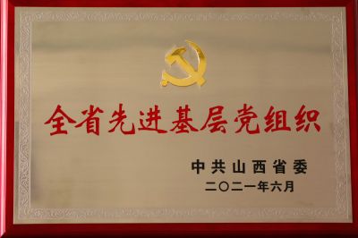 2021年全省先進(jìn)基層黨組織獎(jiǎng)牌